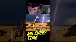 Stop Scrolling! 🛑 You Won't Believe These odd Facts