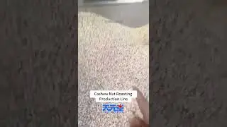 Cashew Nut Roasting Production Line