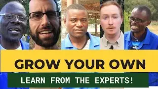 STARTING 23 JUNE 2021: REGENERATIVE AGRICULTURE COURSE
