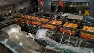 Food ,Tray food ,Biscuit ,Butter ,Powder pouch Cartoning machine ,Cartoner Machine
