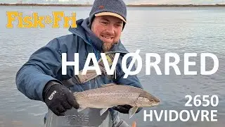 HAV&Oslash;RRED - 2650 HVIDOVRE [ENG SUBS]