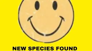 New species of Glaggles discovered! #glaggleland