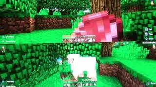 Dexter plays Minecraft with his friend Sebi