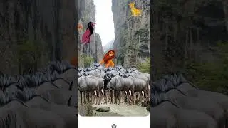 long live the king