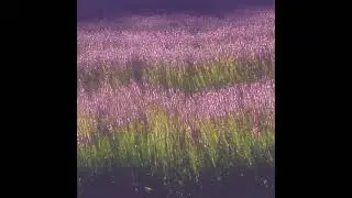 Doja Cat x SG Lewis Type Beat - Utopia