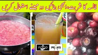 Falsa Sharbat | Grewia Drink | Falsey ka Juice by Food Peaks