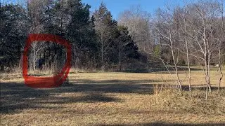 Well Placed Security Camera Captures Something Completely Unbelievable!