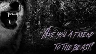 Contemplation can be distracting || UNDER THE MOONLIGHT (Pt 8) [ASMR] [M4A] Werewolf RP