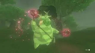 Zelda: Breath of the Wild (No Commentary) #013, Journey to the Akkala Ancient Tech Lab
