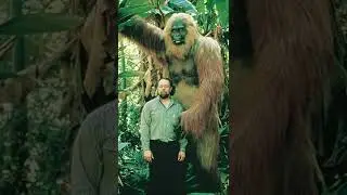 When there were giants on Earth: Gigantopithecus Blacki, the largest ape of all time