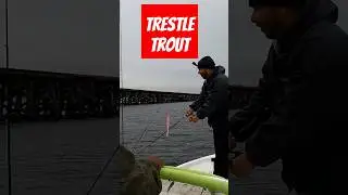 New Bern NC's not so Hidden Trestle Trout Hotspot EXPOSED