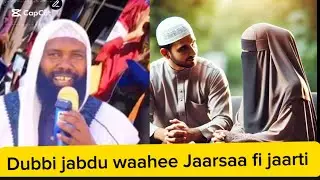 Dhamsa Bareeda waahee jaarsa fi jaarti sheikh Usmaan Dirrii 