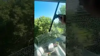 Double pane expert window cleaning so satisfying #windowcleaning #windowcleaner #windows