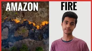 How you can help to save AMAZON FOREST FIRE!
