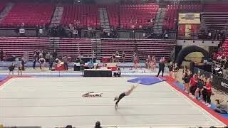 Alana Anderson, NIU 2024 Floor vs EMU, CMU