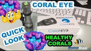 Aquamaxx Coral Eye (CORAL SPOT LIGHT)