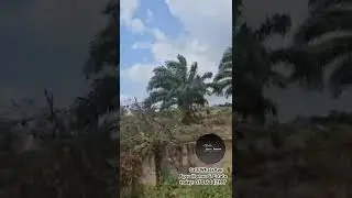 🏡 SEMI-DIRECT LAND SALE 📌 Title Document: C of O (Certificate of Occupancy)