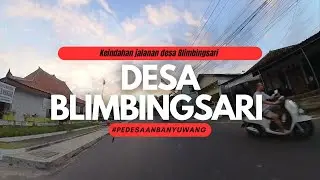 Keindahan jalanan Desa Blimbingsari Banyuwangi