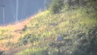 long range shooting 1000yds, .264winmag