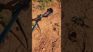 HOMEYA 47 Inch Extra Heavy Duty Snake Tongs
