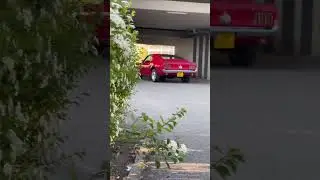 1969 Mustang Mach1 ❤️