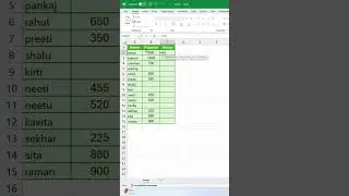 MS Excel Payment Status