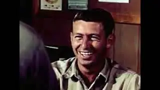 Forest Ranger Survival Stories Forest Ranger's Hidden Adventures  Inside the Life of a Forest Ranger