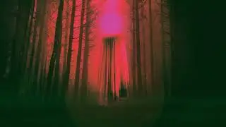 Amythyst Kiah​​​ - In The Pines (Official Audio)