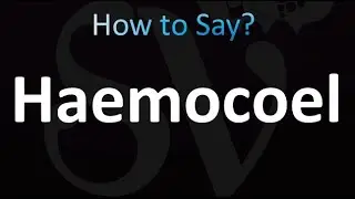 How to Pronounce Haemocoel (correctly!)