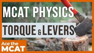 Физика MCAT: Крутящий момент и рычаги