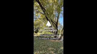 Roy Wilkins Park | No Park Left Unturned #shorts