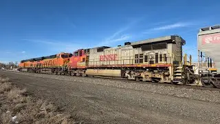 WARBONNET! BNSF Grain Train with BNSF Warbonnet #791
