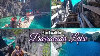 Coron, Palawan: Tour B Part 3 - Going to the famous Barracuda Lake Virtual Tour 4k! April 2022