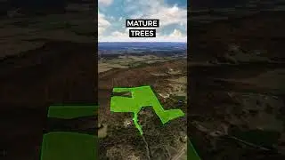 26 Acres of Land for Sale in Alabama &bull; LANDIO