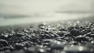 Dear Gravity & Domy Castellano &bull; The War (Official Video)
