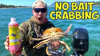 Dungeness CRABBING With NO BAIT (Very Surprising Results!)