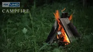 Firelight on Water 🌙 Soothing Nature Sounds for Sleep & Relaxation