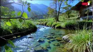 Gentle Daytime Sleep Aid &mdash; Flowing River & Soft Piano in Bright Ambience | 10 Hours