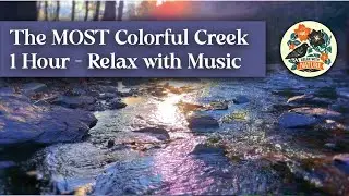 The MOST Colorful Peaceful Creek in NEW JERSEY with Ambient Music - 1 Hour