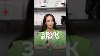 А вы знали, что есть звук, от которого кошка бросит все дела и прибежит? #здоровье #животные