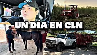 AS&Iacute; ES UN D&Iacute;A EN CULIACAN DEL KC DE LOS TOYS ☀️✌🏼