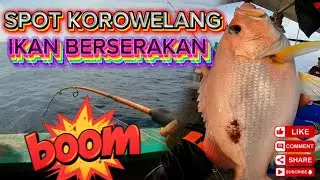 EXPLOR SPOT KOROWELANG ‼️‼️‼️SIAPKAN TUKANG PIJAT PULANG DARI SINI ‼️‼️‼️‼️‼️‼️