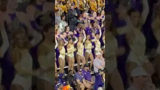 LSU Tigers Marching Band & Golden Girls dancers at LSU football game in Tiger Stadium in Baton Rouge