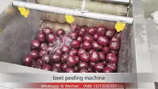 brush roller beet peeling machine beetroot skin removing machine beet peeler machine