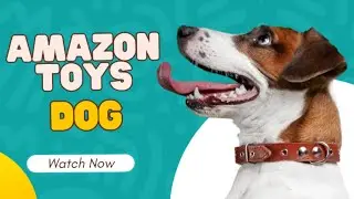 Bored Dog? Try This Amazon Hack! 🎾🔥