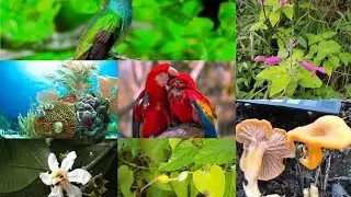Especies: usufructo perfecto, cuasi usufructo y defensa de dominio. Reflexiones ⚖️ Prefecto. 