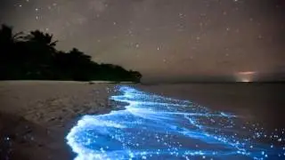 Solan - Inspecteur Clueso (Claire Ripley, Zeitgeist Remix)