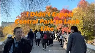 This 4K Autumn Walk Through Central Park Feels Like a Movie