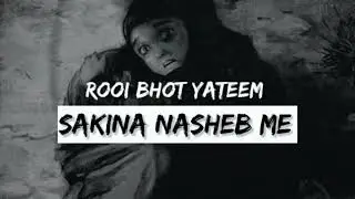 ROI BAHOT YATEEM SAKEENA NASHEB ME | SLOWED AND REVERB NOHA NEW NOHA 2024