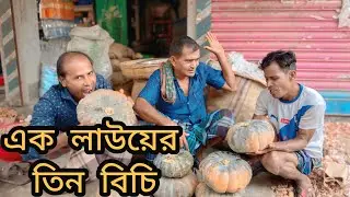 এক লাউয়ের তিন বিচি ।  Comedy video । Nayeb Ali 2025